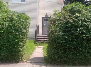 Brandon K.'s Bush Trimming service result