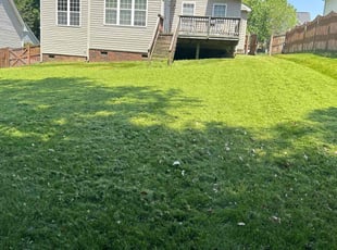 Michelle C.'s lawn maintenance service result
