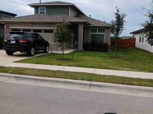 Gregory N.'s lawn care service result