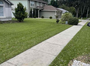 Kristy C.'s Cleanups service result