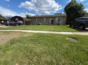 Robert N.'s turf maintenance service result