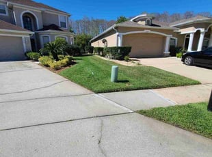 Jermaine B.'s turf maintenance service result