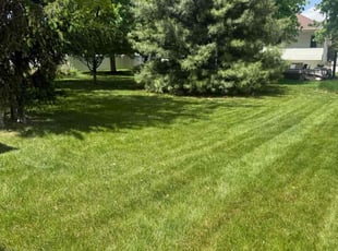 Frank K.'s lawn maintenance service result