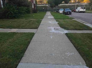 Nathan Z.'s lawn service service result