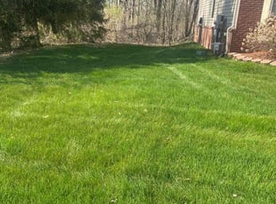 Sheri F.'s lawn service service result