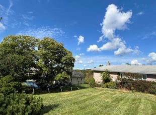 Randy M.'s lawn care service result