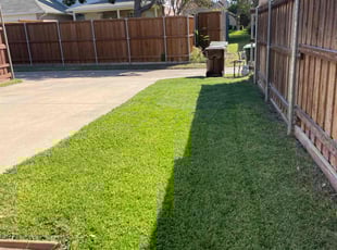 Miles C.'s lawn care service result