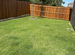 Jordan P.'s turf maintenance service result