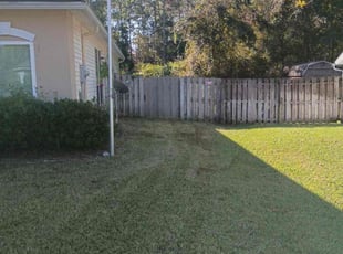 Greg P.'s grass maintenance service result