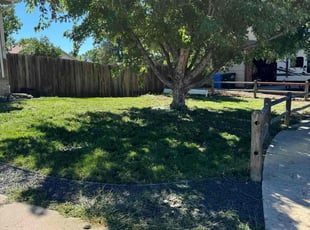 Jerry L.'s grass cutting service result