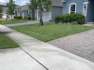 Leith P.'s lawn care services service result