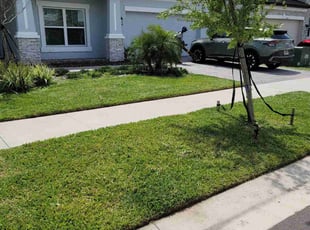 Matt N.'s turf maintenance service result
