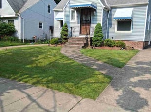 Tonja L.'s turf care service result