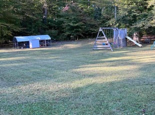 Judy O.'s grass cutting service result