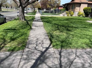 Joanne M.'s lawn maintenance service result