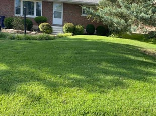 Franklin W.'s lawn maintenance service result