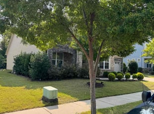 Dora P.'s Tree Trimming service result