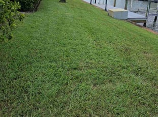Joseph B.'s lawn maintenance service result