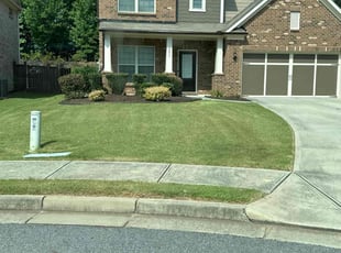 Bill M.'s lawn maintenance service result