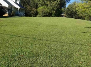 Kelly L.'s lawn care service result