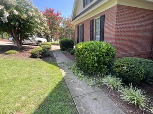 Justin K.'s Bush Trimming service result