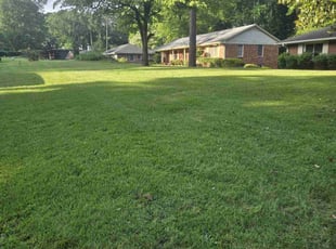 Susan E.'s lawn care service result