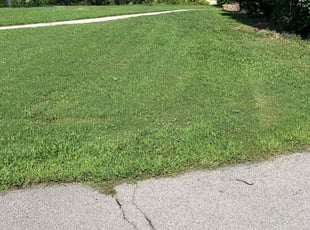 Shawn S.'s grass maintenance service result