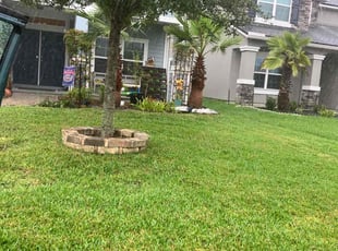 Ahliya M.'s turf care service result