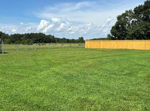 Bill W.'s yard service service result