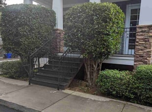 Wendy N.'s Bush Trimming service result