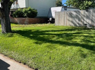 Donaven S.'s turf maintenance service result