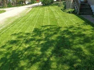 Matthew M.'s grass maintenance service result