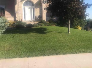 Aminat O.'s lawn service service result