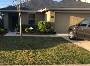 David P.'s Bush Trimming service result