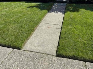 Faith B.'s lawn service service result