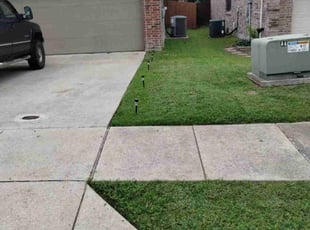 Denisa S.'s lawn maintenance service result