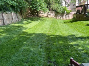 Ken C.'s lawn care services service result