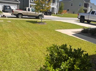Jan L.'s lawn maintenance service result