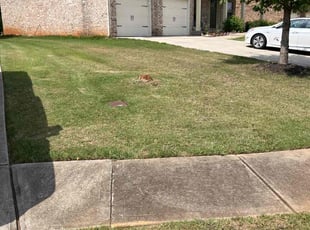 Janice F.'s lawn service service result