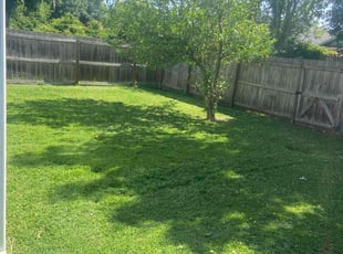 Christian S.'s grass cutting service result