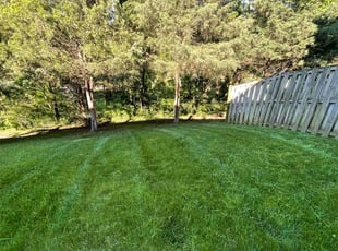 Frederick J.'s lawn care services service result