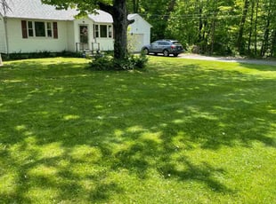 Charlie N.'s lawn service service result