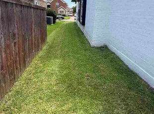 David V.'s lawn service service result