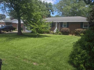Andrea F.'s lawn maintenance service result