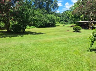 Mike H.'s grass cutting service result