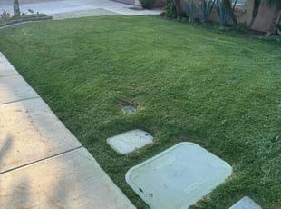 Karl G.'s turf maintenance service result