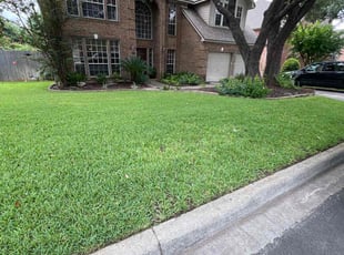 Kim B.'s lawn care services service result