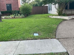 Sarah W.'s lawn maintenance service result