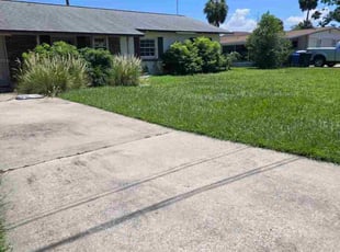Spryng S.'s grass maintenance service result