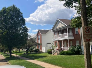 Ed L.'s lawn care services service result